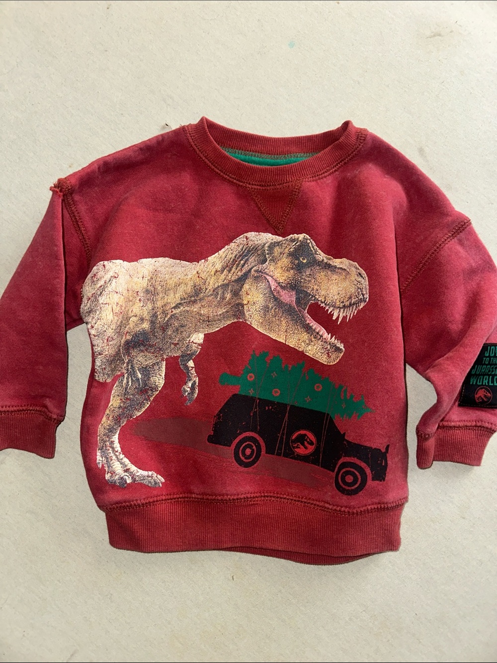 Kids' Size 12M Red Dino Graphic Sweatshirt - Jurassic Crew